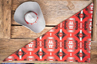 Ancestral Trail - Cowboy Hat and Bandana for Mini Horse