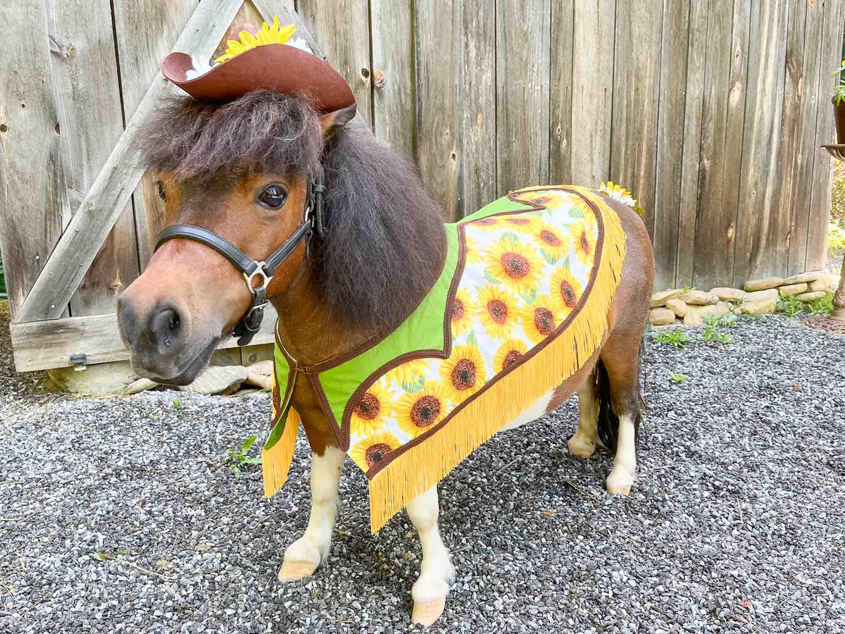 Sunflower Stampede - Cowboy Set with Hat, Fringed Shawl and Tail Fascinator