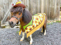 Sunflower Stampede - Cowboy Set with Hat, Fringed Shawl and Tail Fascinator