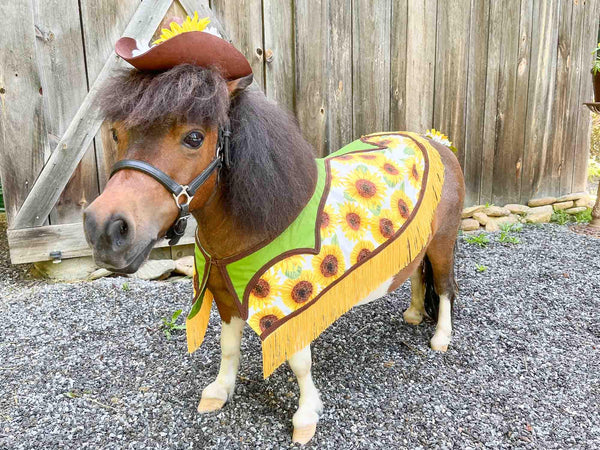 Sunflower Stampede - Cowboy Set with Hat, Fringed Shawl and Tail Fascinator