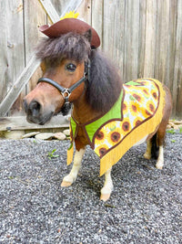 Sunflower Stampede - Cowboy Set with Hat, Fringed Shawl and Tail Fascinator