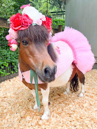 Dream of the Enchanted Grove - Flower Fairy Costume for Miniature Horse