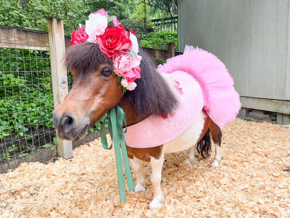 Dream of the Enchanted Grove - Flower Fairy Costume for Miniature Horse