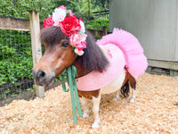 Dream of the Enchanted Grove - Flower Fairy Costume for Miniature Horse