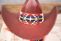 Ember and Eagle - Cowboy Hat and Bandana for Mini Horse