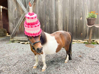 Birthday Cake-a-Licious - Hat for Miniature Horse