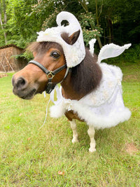 Frosty Little Fairy - Christmas Fairy Costume with Wings for Miniature Horse
