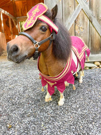 The Scarlet Champion - Knight Costume for Mini Horse with Head Band, Tourney Saddle blanket, Chest Piece and Tail Fascinator