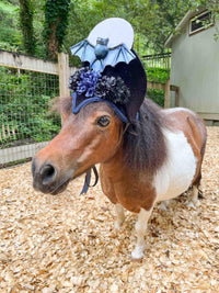 Twilight Tango - Halloween Hat for Mini Horse