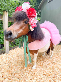 Dream of the Enchanted Grove - Flower Fairy Costume for Miniature Horse
