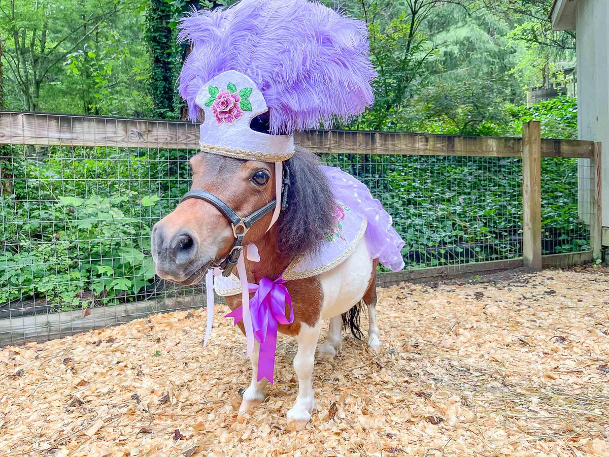 Lilac Dream Dancer - Feathered Headdress and Cape for Mini Horse