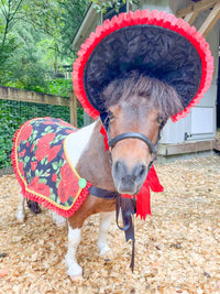 Victorian Midnight Rose - Valentine Costume with Bonnet, Cape and Tail Fascinator for Mini Horse