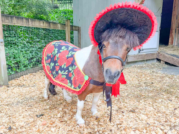 Victorian Midnight Rose - Valentine Costume with Bonnet, Cape and Tail Fascinator for Mini Horse