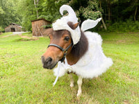 Frosty Little Fairy - Christmas Fairy Costume with Wings for Miniature Horse