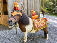 Pumpkin Paradise -  Halloween Costume with Pumpkin Hat and Fancy Saddle for Mini Horse