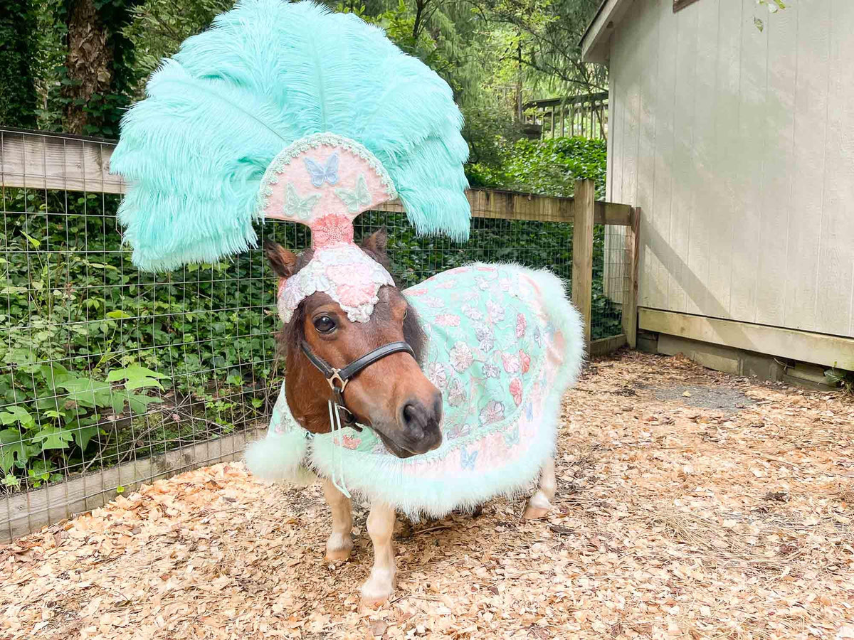 Butterfly Sherbet Swirl - Feathered Headdress, Cape and Tail Fascinator for Mini Horse
